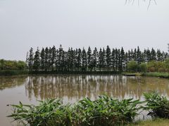 -上海长兴岛郊野公园