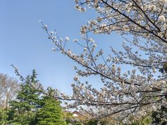 -堤角公园