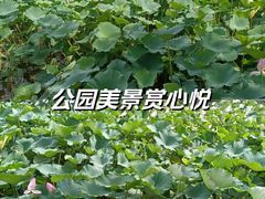 -鲁镇