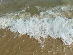 -玫瑰海岸文化旅游度假区