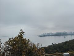 -野狸岛