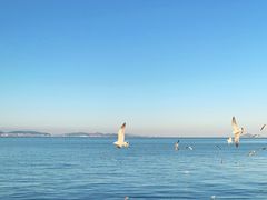 -大连海昌东方水城