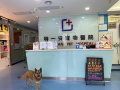 -特一安24小时宠物医院·骨科·中兽医