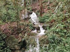 -白云源风景区