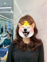 -潘多拉Hairsalon
