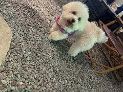 -J Create城市露营咖啡·简餐·宠物(上海动物园店)