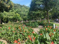 -阳台山森林公园