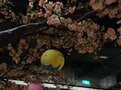 -绿茶餐厅(昌平悦荟店)