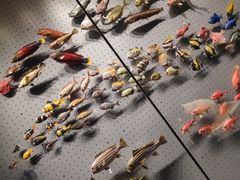 -贝林大翅鲸简餐厅(国家海洋博物馆店)