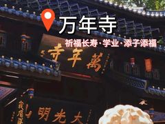 -峨眉山报国寺