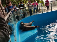 -石家庄市动物园