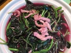 -顺承小院儿