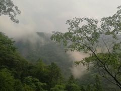 -燕子河大峡谷天坑仙境