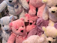 -济州岛泰迪熊博物馆