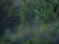 -泉城欧乐堡戏水湾艺术养生温泉