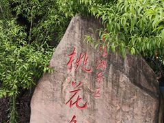 -金鸡湖桃花岛