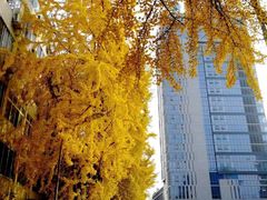 -四川大学(华西校区)