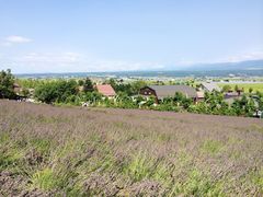 -富田农场