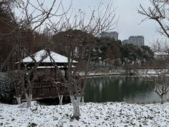 -圩墩遗址公园