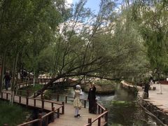 -水磨沟公园