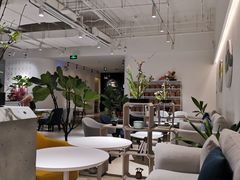 -张一元茶庄(望京店)