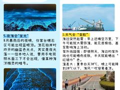 -日照海滨国家森林公园