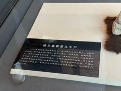 -巴音郭楞蒙古自治州博物馆