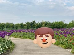 -花开海上生态园