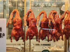 -顺城金记卤鸡·清真