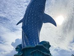-珠海长隆海洋王国