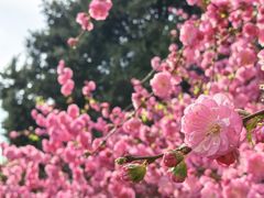-太阳宫公园