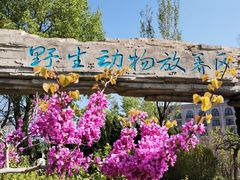 -大连森林动物园