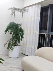 -HEYAN荷妍专业脱毛连锁机构
