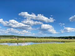 -塞罕坝国家级自然保护区