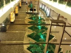 -深圳维景酒店