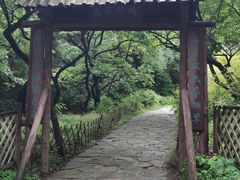 -香山公园