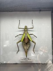 -酷嗒动物文化乐园(cutezoo西溪乐天城店)