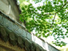 -青岛崂山太清宫