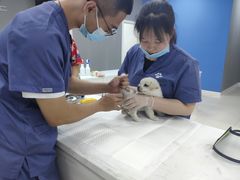 -福州肆爪动物医院