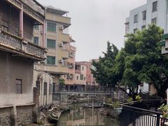 -长洲渡车船码头