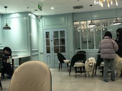 -安格丽娜·狗咖·猫咖羊驼咖(春熙路百盛商场店)
