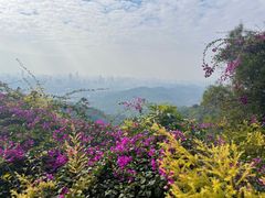 -广州市白云山风景名胜区