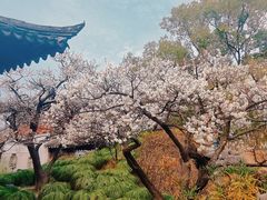 -南园(太仓市)
