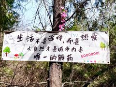 -青龙山生态文化旅游区(慈云寺)