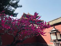 -故宫博物院(故宫)