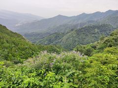 -北京鹫峰国家森林公园
