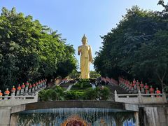 -西双版纳勐泐文化旅游区