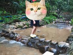 -火炉山森林公园