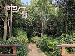 -杭州半山国家森林公园