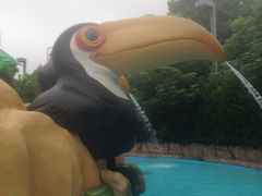 iphone_upload_pic-热带风暴水上乐园